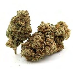 Buy STRAWBERRY DIESEL  WEED STRAIN