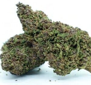 ALADIN PURPLE KUSH