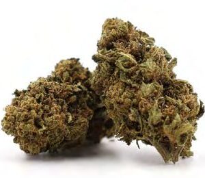 Buy JACK HERER – cannabis buds