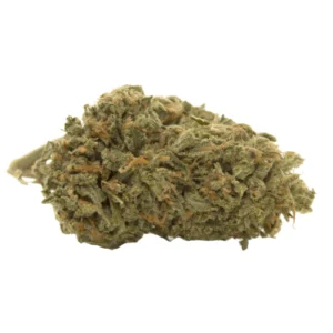 Asian Fantasy Sativa Weed Strain