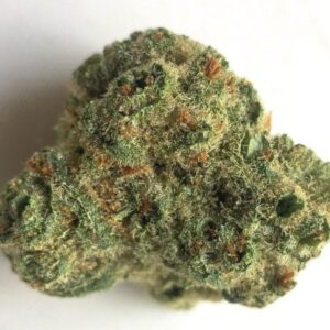 Bio Jesus Weed Strain
