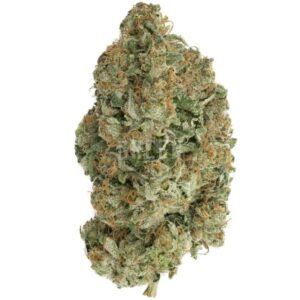 Venom OG weed strain