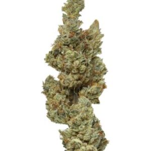Buds WHITE WIDOW